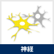神経
